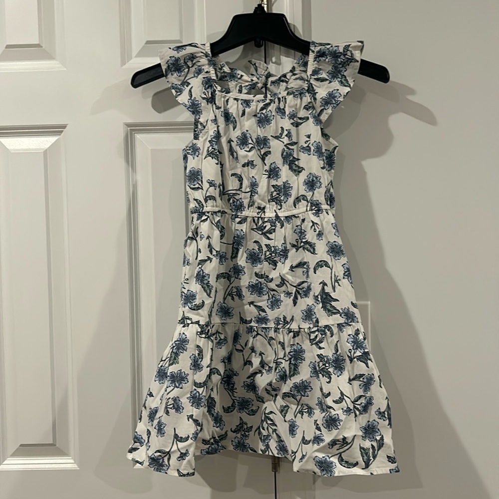 Crewcuts White Dress with Blue Floral Print